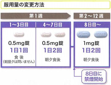 服用量の変更方法 第1週 1～3日目 0.5mg錠1日1回食後（朝昼夕は問いません） 第2～12週 4～7日目 0.5mg錠1日2回朝夕食後 8日目に禁煙開始 8日目～ 1mg錠1日2回朝夕食後